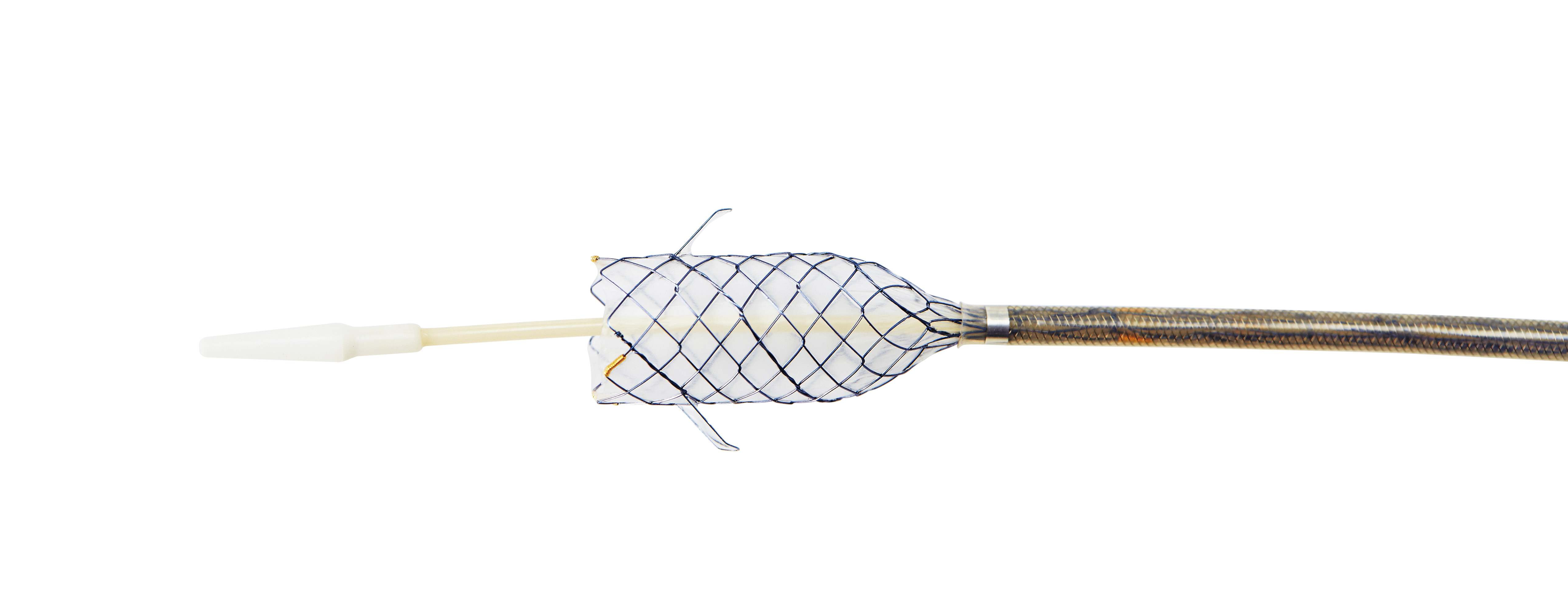 BCG HANAROSTENT® FAST™ Biliary Flap (CCC)