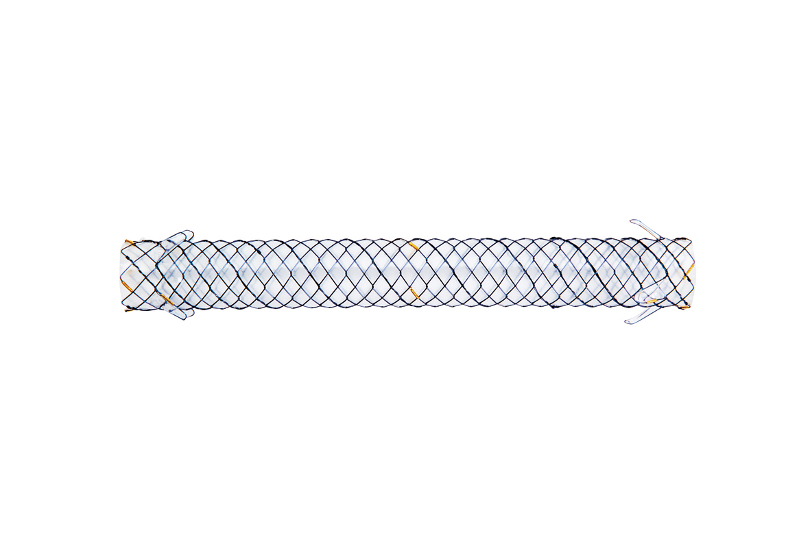 BCG HANAROSTENT® Biliary Flap (CCC)