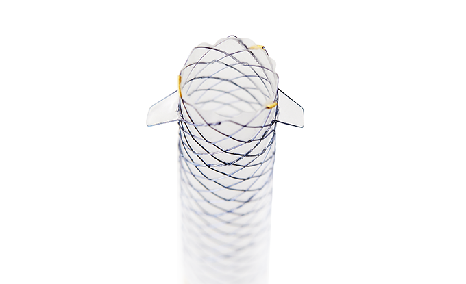 BCG HANAROSTENT® FAST™ Biliary Flap (CCC)