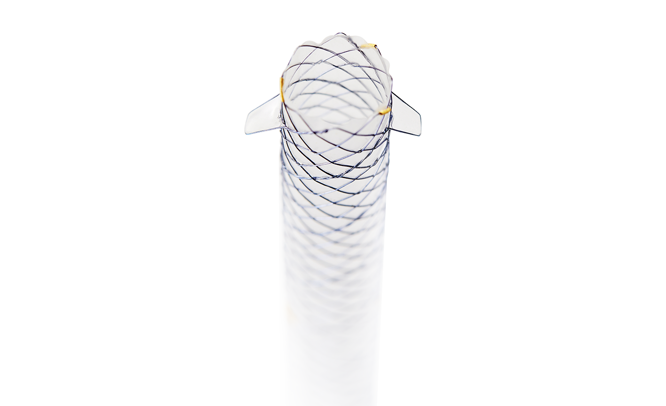 BCG HANAROSTENT® Biliary Flap (CCC)