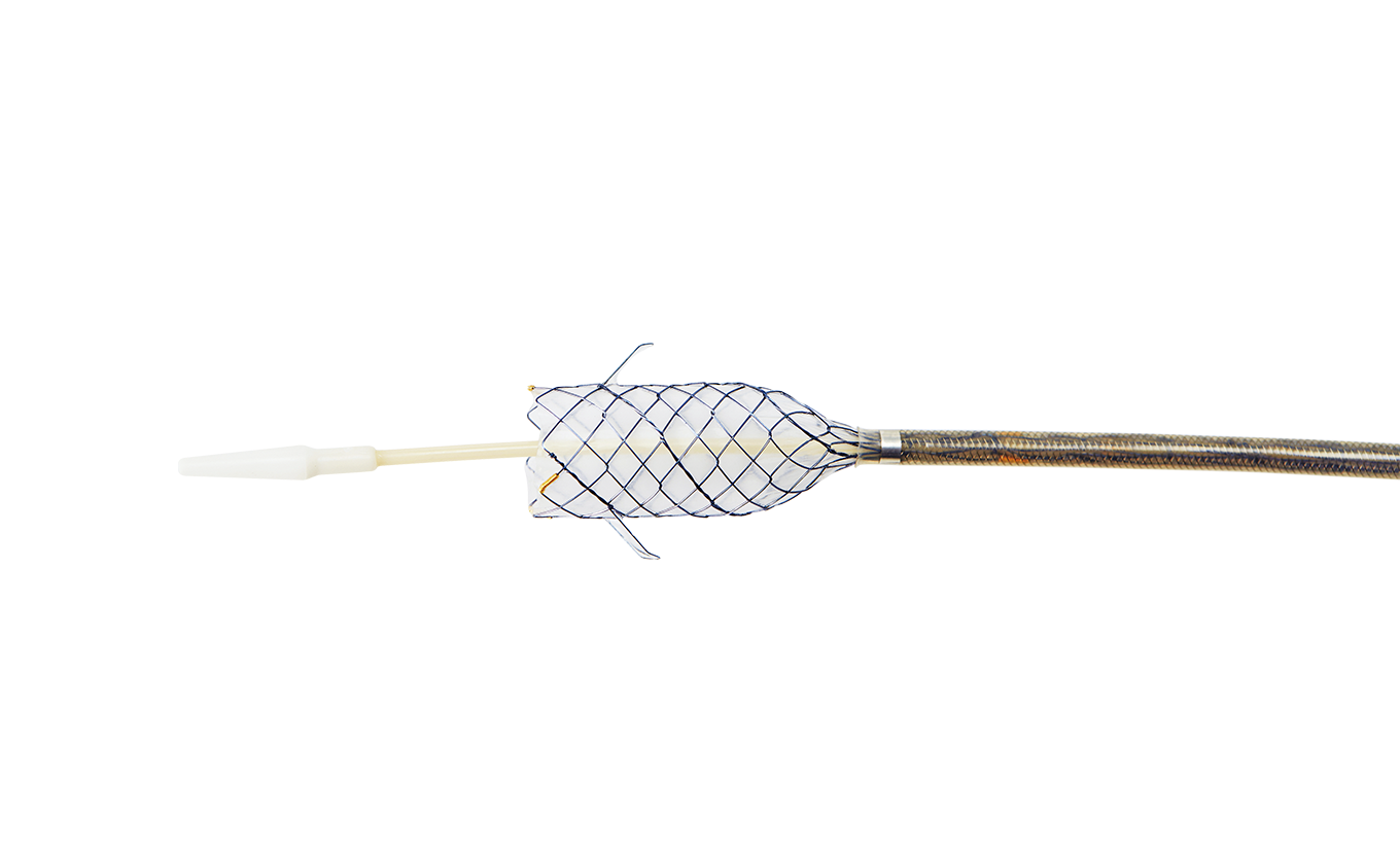 BCG HANAROSTENT® Biliary Flap (CCC)