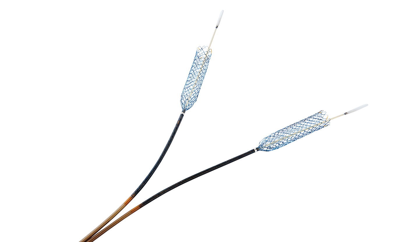 BNHS HANAROSTENT® Benefit™ Biliary (NNN)