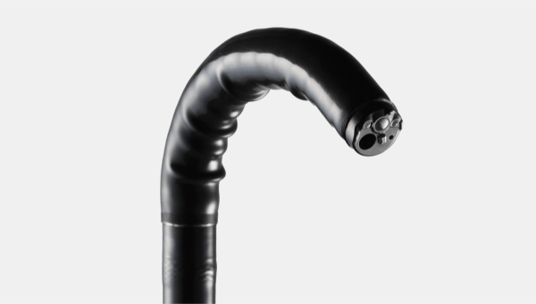 Endoscope